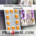 Kamagra 100Mg Oral Jelly Sildenafil new12